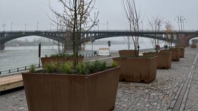 Mobile Begrünung am Rheinufer