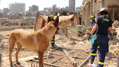 Erste Rettungskräfte aus dem Libanon zurück