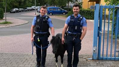 Polizisten führen Pony zur Dienststelle