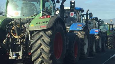 Rheinhessische Landwirte gehen wieder auf die Straße