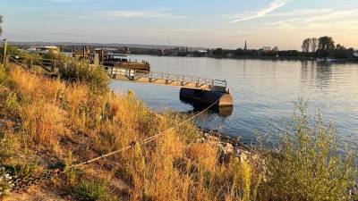 Aktionsplan Niedrigwasser Rhein