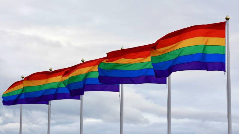 LGBTIQ - Flaggen