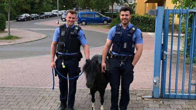 Polizisten führen Pony zur Dienststelle
