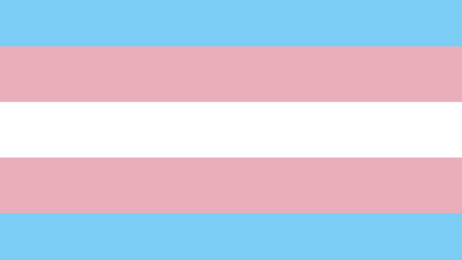 Transgender bezeichnet Personen, deren Geschlechtsidentität nicht mit ihrem angeborenen Geschlecht übereinstimmt.