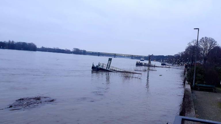 Hochwasserlage in Mainz
