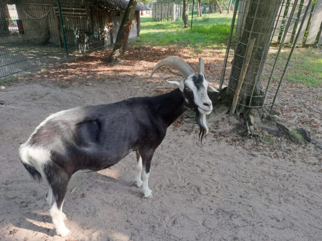 Unbenannt 2